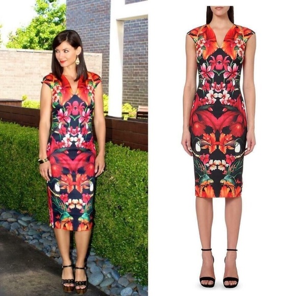 NWT TED BAKER •Rare• Bismii Tropical Toucan Midi Dress Ted Sz 4 - US 10 - Picture 4 of 15